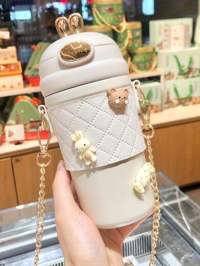 Premium Quality Stainless Steel Portable Bottle 480ml