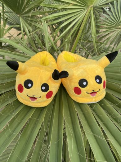 Pokemon Winter Fluffs